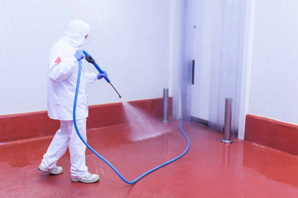 Best Graffiti Removal Services in Scenic Oaks, TX