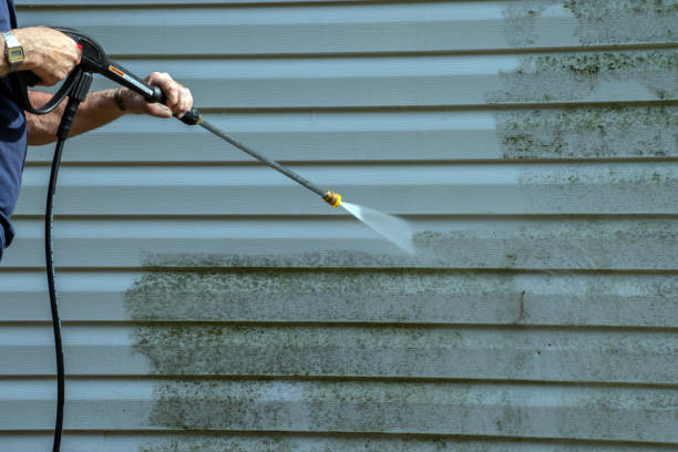 Best Gutter Cleaning and Brightening in Scenic Oaks, TX