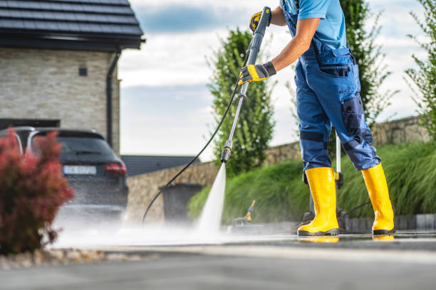 Best Window and Screen Pressure Cleaning in Scenic Oaks, TX
